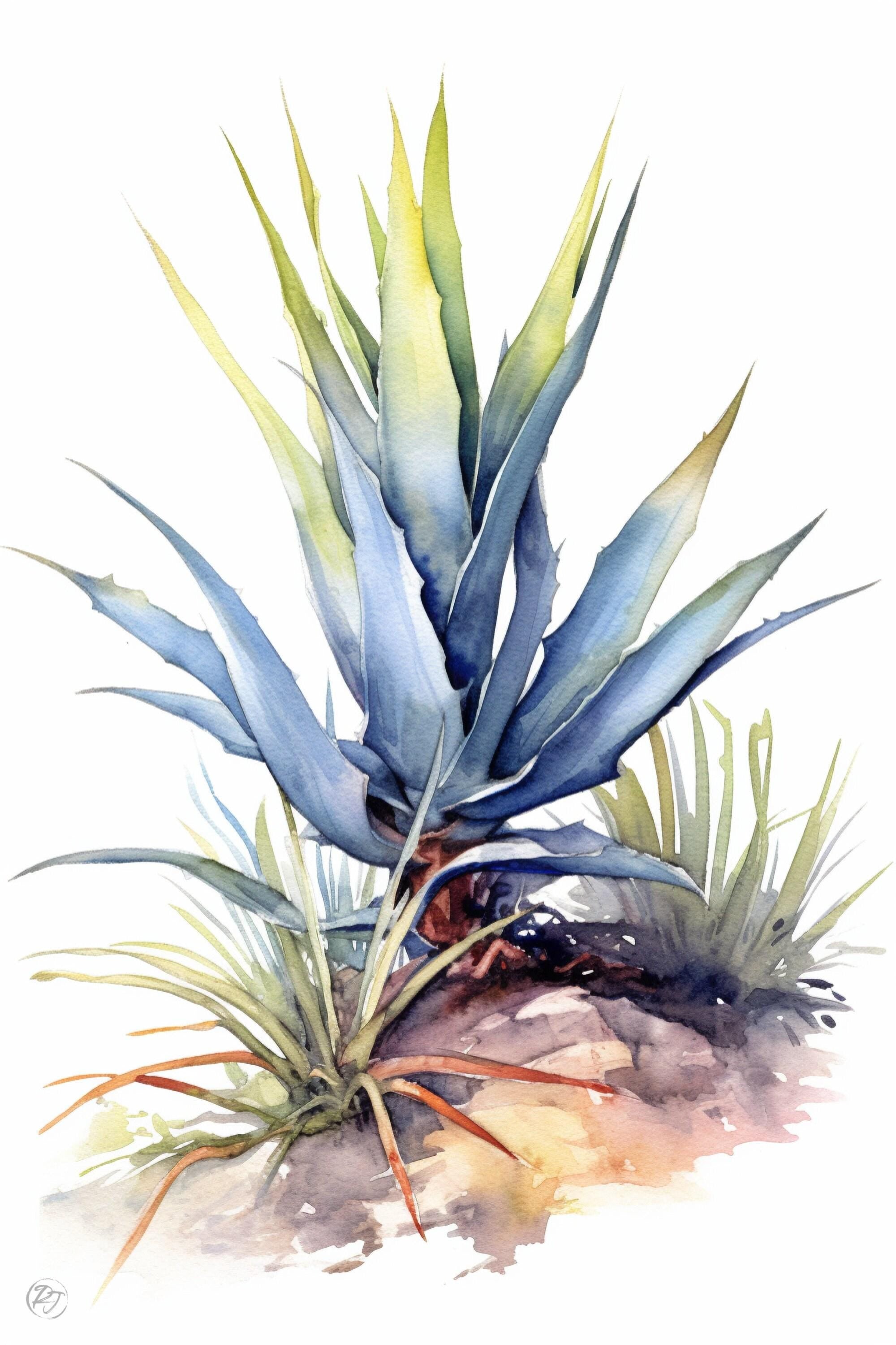 Desert Oasis: Southwest Agave Botanical Print, Giclee Print on Canvas, Artist Paper, Watercolor Paper, Available in Extra Large Sizes