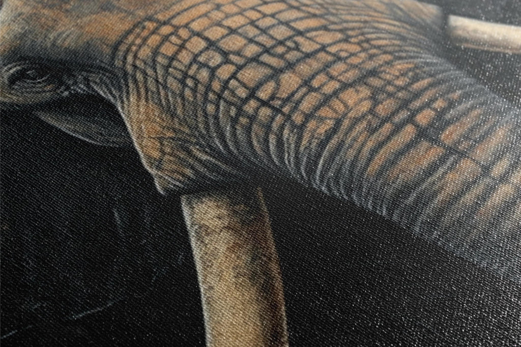 a close up of an elephant's trunk and trunk