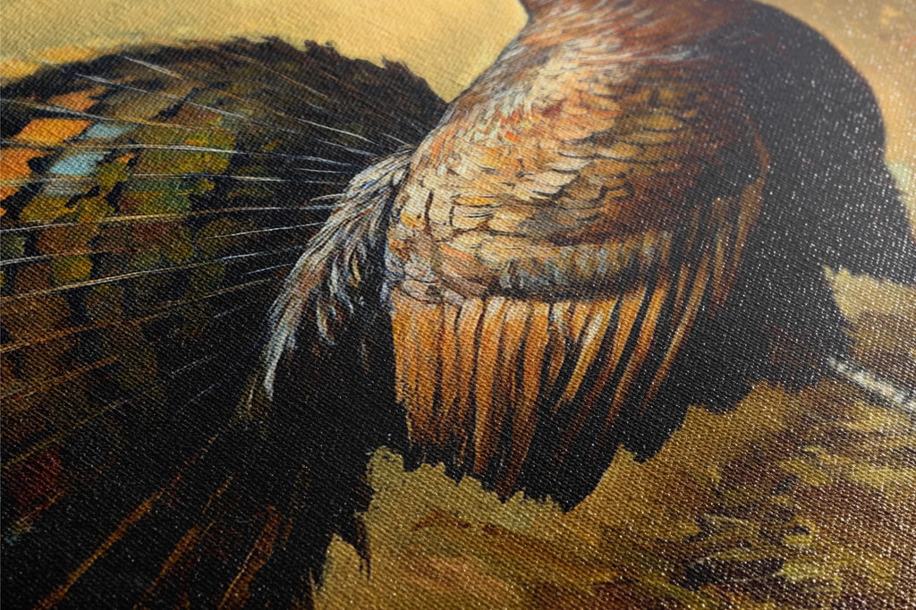 The image is a close-up of a bird's tail feathers, showcasing the intricate patterns and textures of the feathers.