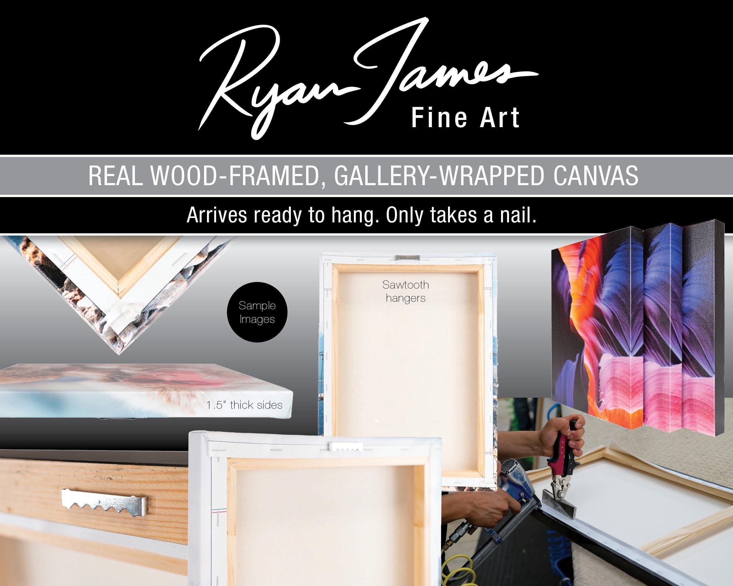 an advertisement for ryan james fine art