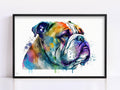 Bulldog Beauty: English Bulldog Watercolor Painting, Giclee Print on Canvas, Artist Paper, Watercolor Paper, Available in Extra Large Sizes