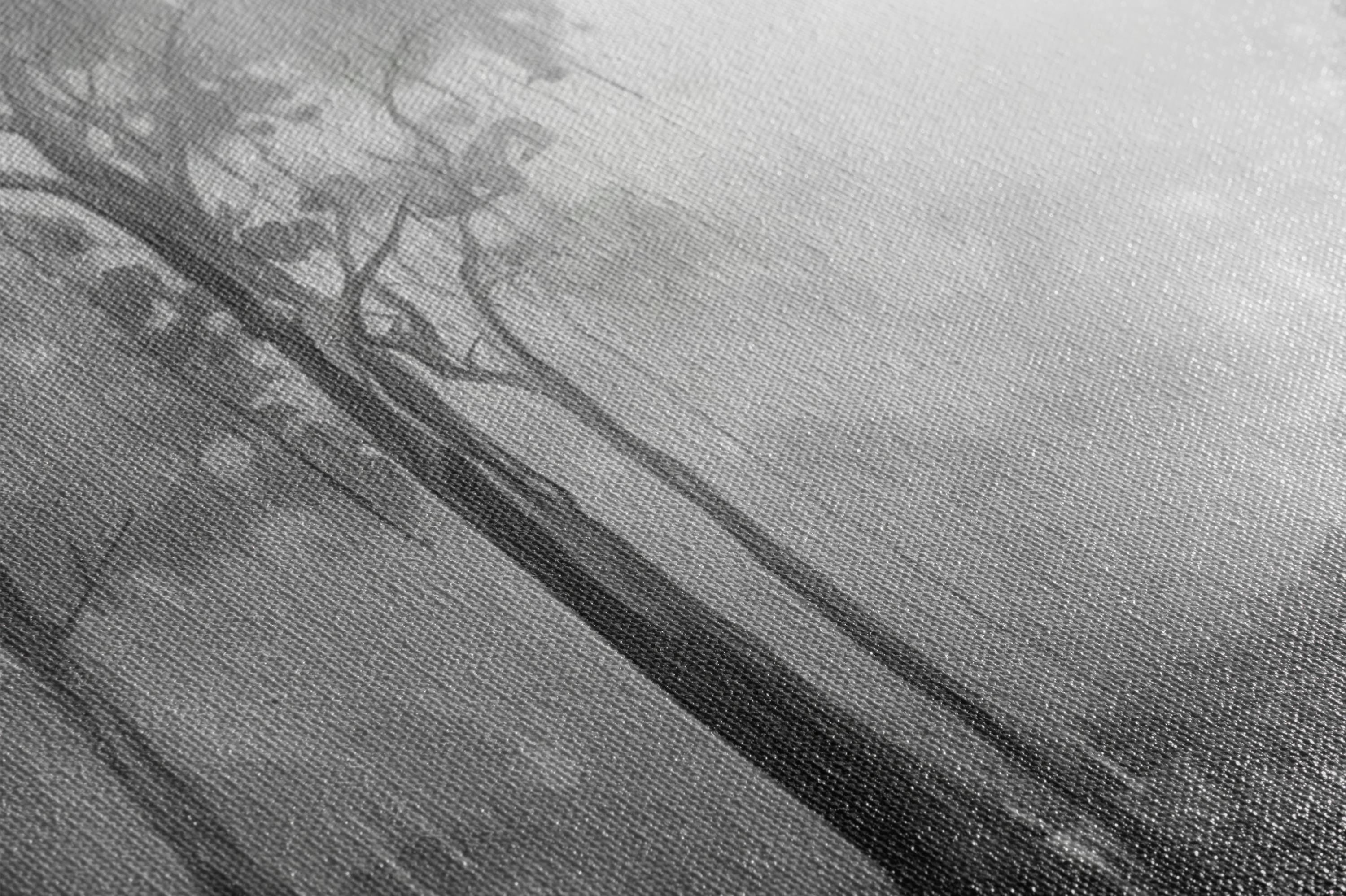 a black and white photo of a tree in the fog